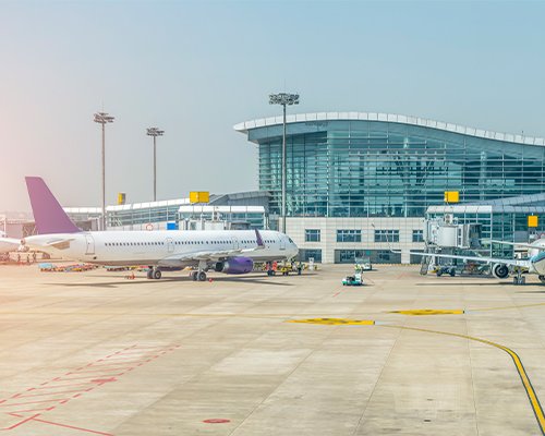 Return to Airport (via Turtle Hatchery)