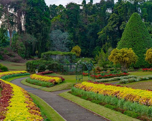 Botanical Garden & Scenic Train Ride to Ella