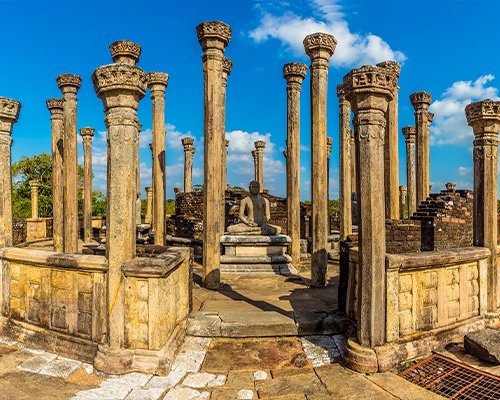 Polonnaruwa & Minneriya Safari