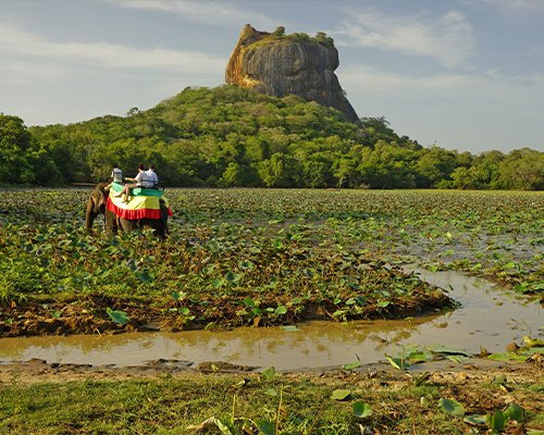 Sigiriya Rock Fortress & Village Experience