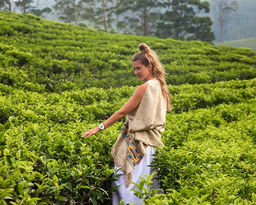 Tea Experience & Beach Escape